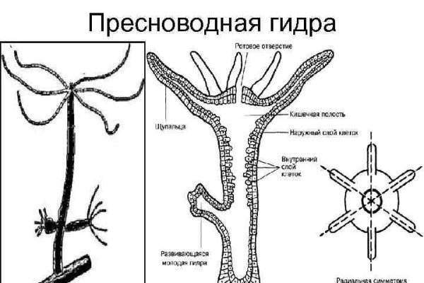 Не работает ссылка меги