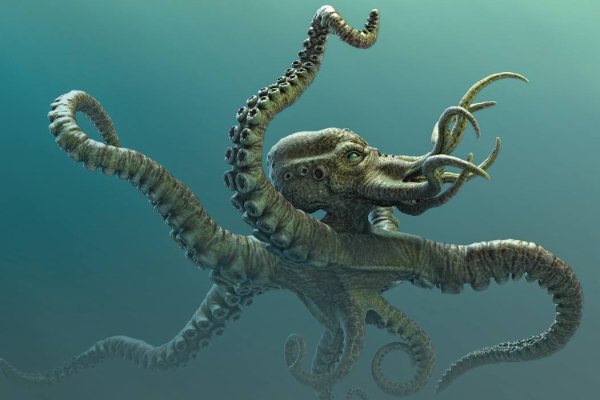 Kraken вы забанены почему