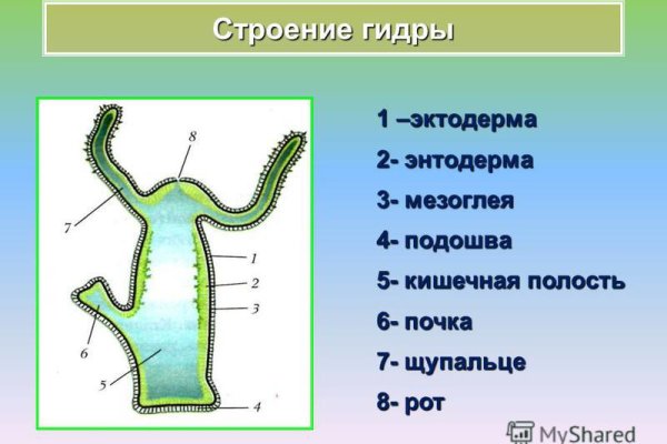 Вход в kraken зеркало